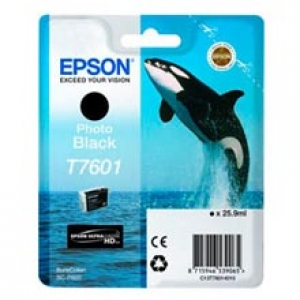 Original Epson C13T76014010 / T7601 Tintenpatrone black Foto