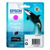 Original Epson C13T76034010 / T7603 Tintenpatrone magenta