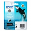 Original Epson C13T76074010 / T7607 Tintenpatrone gray