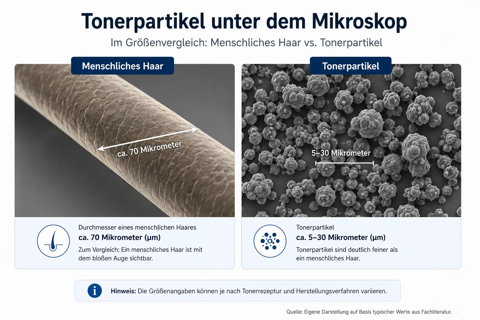 Mikroskopische Ansicht von Tonerpartikeln im Größenvergleich zu einem menschlichen Haar.